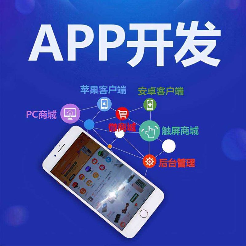 系统集成服务